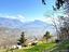 Immagine 13