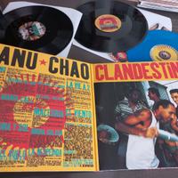 Manu Chao Clandestino Deluxe 3 LP vinile colorato 