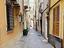 Immagine 15