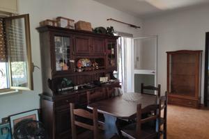 Casa di campagna con terreno alberato