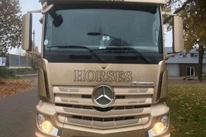 VAN MERCEDES ACTROS TRASPORTO 6 CAVALLI anno 2015