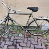 bici da passeggio 