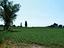 Immagine 7