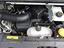 Immagine 7