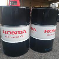 FUSTO MARCHIO HONDA/MOTUL