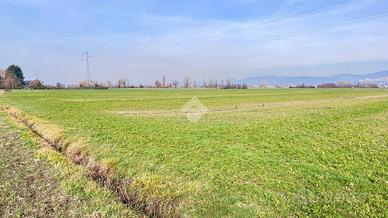 TER. AGRICOLO A ASSISI