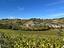 Immagine 28