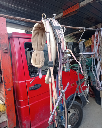 Finimento completo a gancio per mini trotter