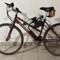 Bicicletta a motore