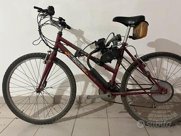 Bicicletta a motore