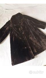 pelliccia  di castoro selvatico 