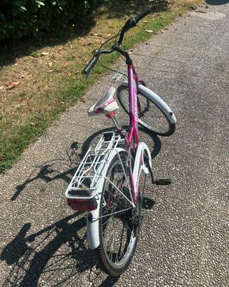 Bicicletta ragazza 12 anni