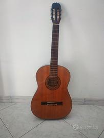 Chitarra Stonehenge + custodia antiurto