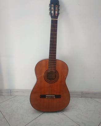Chitarra Stonehenge + custodia antiurto
