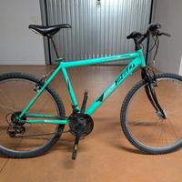 Mountain bike pronta all'uso