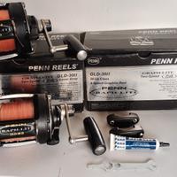 N.2 Combo Mulinello GLD30II+Canna Penn Millenium