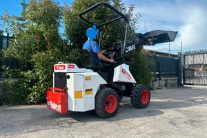 P154 Mini pala Snodata 20 q.li