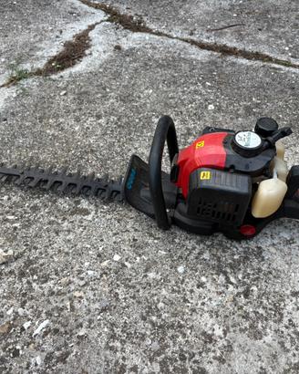 Tagliasiepi a scoppio verrdena