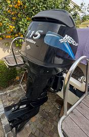 Mercury optimax 115cv