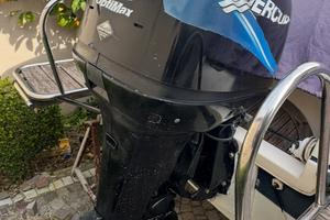 Mercury optimax 115cv