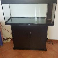 Acquario 180lt completo