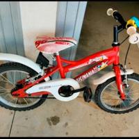 Bicicletta 16 pollici bambini piccoli