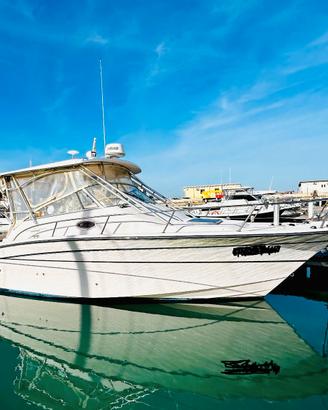 Grady white 330 express