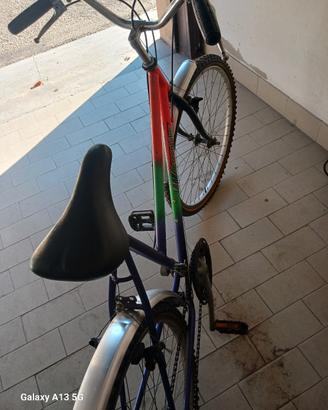 Bicicletta ruote 26