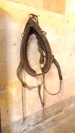 giogo cavallo asino toro anni 50