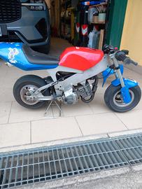 Minimoto polini 910