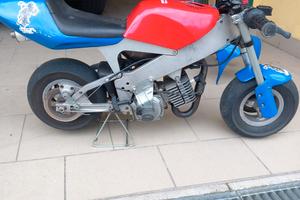 Minimoto polini 910