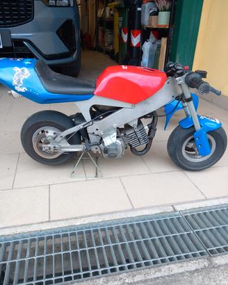 Minimoto polini 910