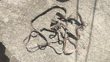 Staffaggio antico da equino