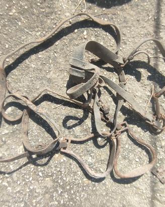 Staffaggio  da equino vintage