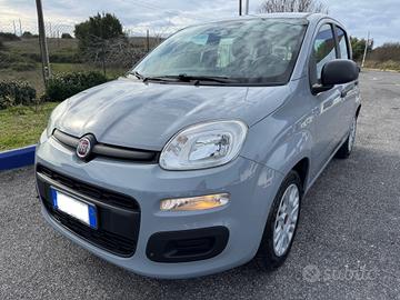 Fiat Panda 1.0 FireFly S&S Hybrid PREZZO REALE