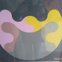 QUADRO OPERA GRAFICA ARTISTA KARL GERSTNER 50X50