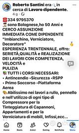 Imbianchino,Decoratore,Verniciatore e Affini
