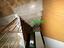Immagine 29