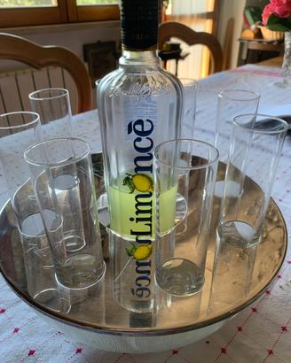 Set ghiaccio&bottiglia per limoncello con 8 bicch