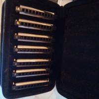 HOHNER BLUES BLAND PACK 7 ARMONICHE