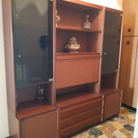 Vetrina/libreria 