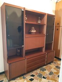 Vetrina/libreria 