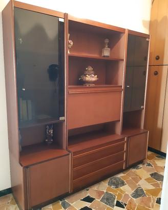 Vetrina/libreria 