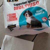 traversine/ tappetini igienici per cane