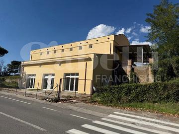 Negozio Orte [Cod. rif 3264308ACG]