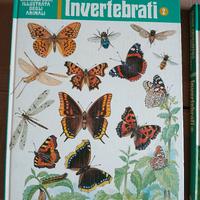 Enciclopedia illustrata animali - invertebrati