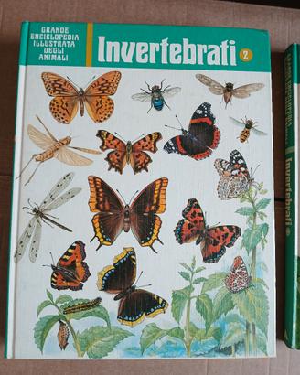 Enciclopedia illustrata animali - invertebrati