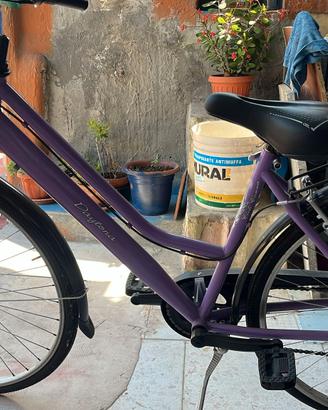 Bicicletta Mario Schiano