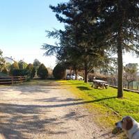 Villa Indipendente bifamiliare Fiuggi