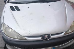 Peugeot  206 motore
